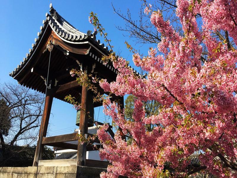 Stay Sakura Kyoto Toji South I Extérieur photo