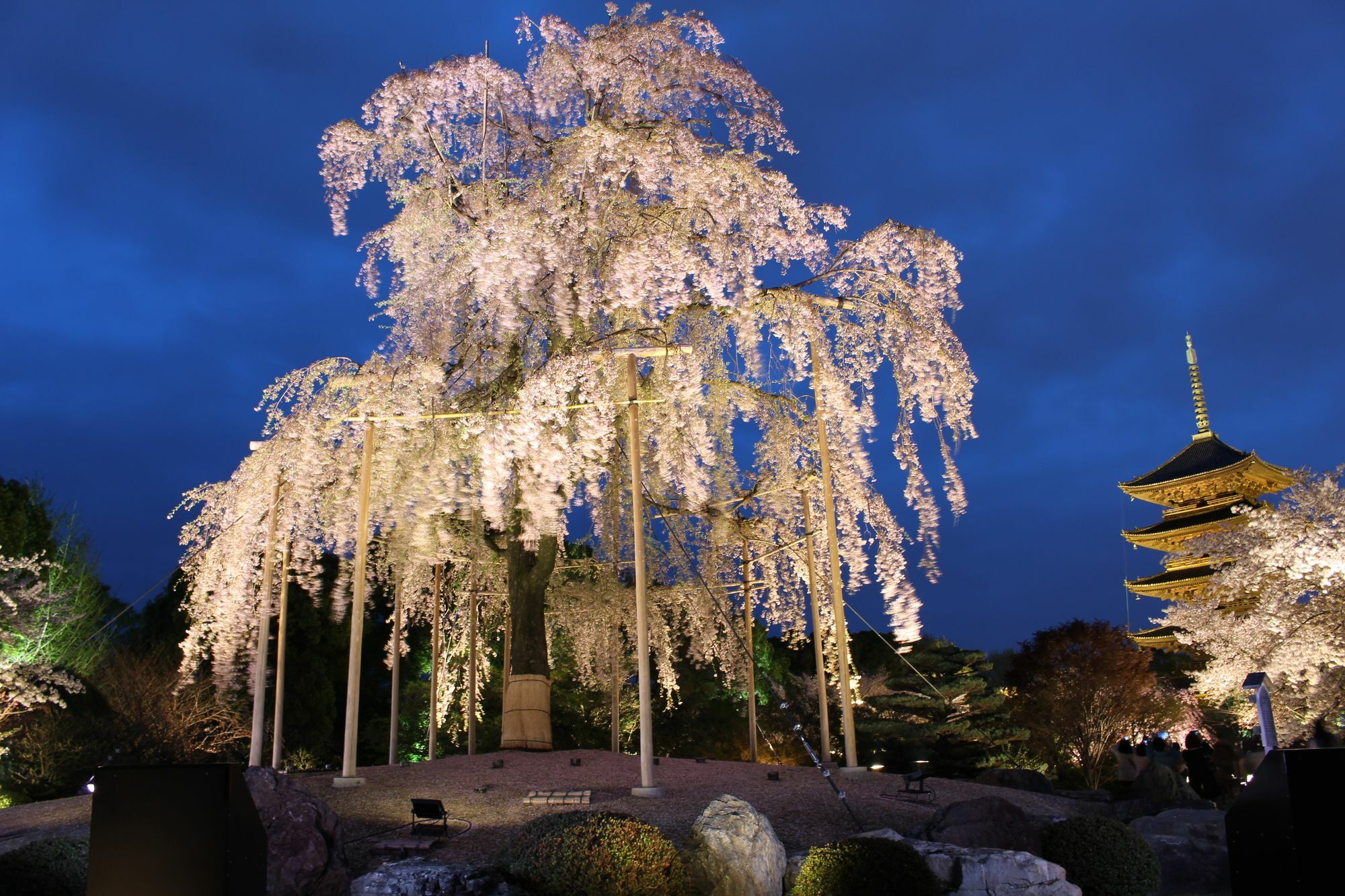 Stay Sakura Kyoto Toji South I Extérieur photo